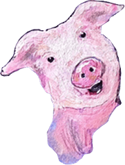 Pig
